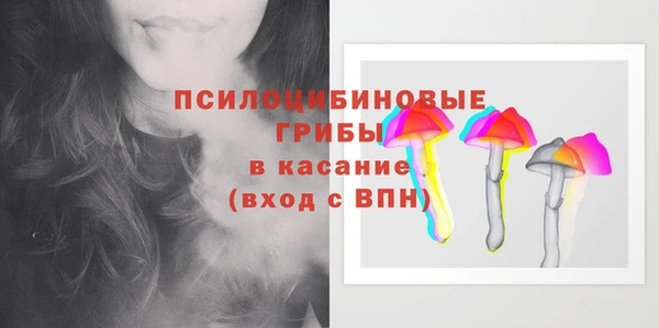 синтетический гашиш Заводоуковск