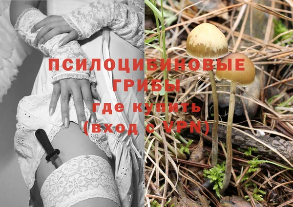 2c-b Заволжск